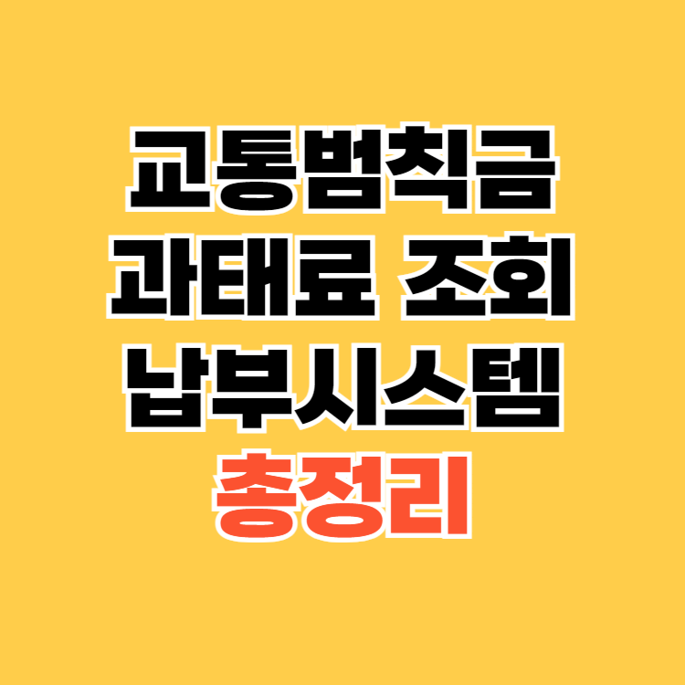 교통범칙금-과태료-조회-납부시스템