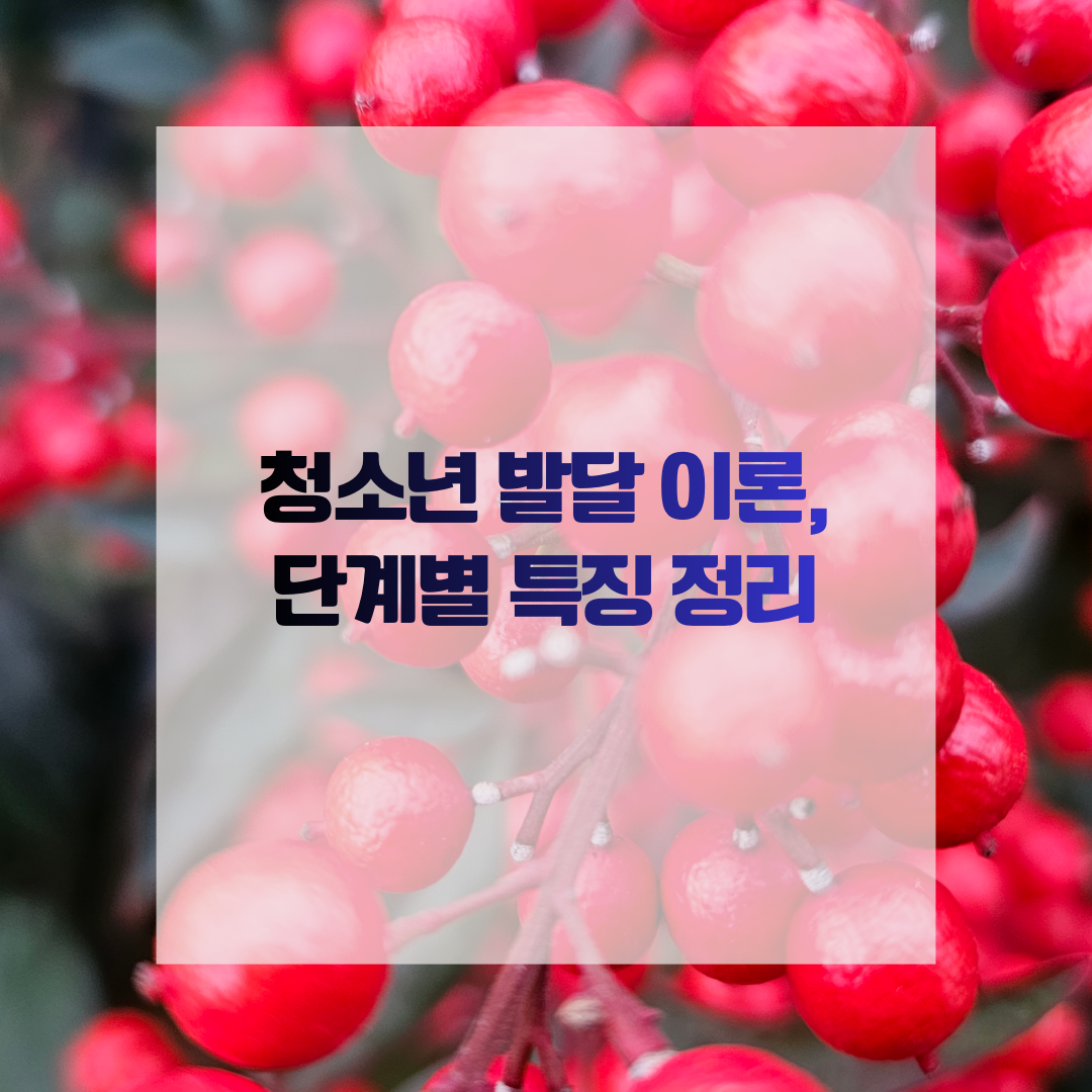 청소년 발달 이론, 단계별 특징 정리