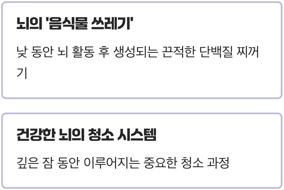 '베타 아밀로이드'는 뇌의 '음식물 쓰레기'