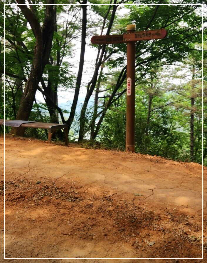 대전 가볼만한곳 베스트10 계족산 황토길