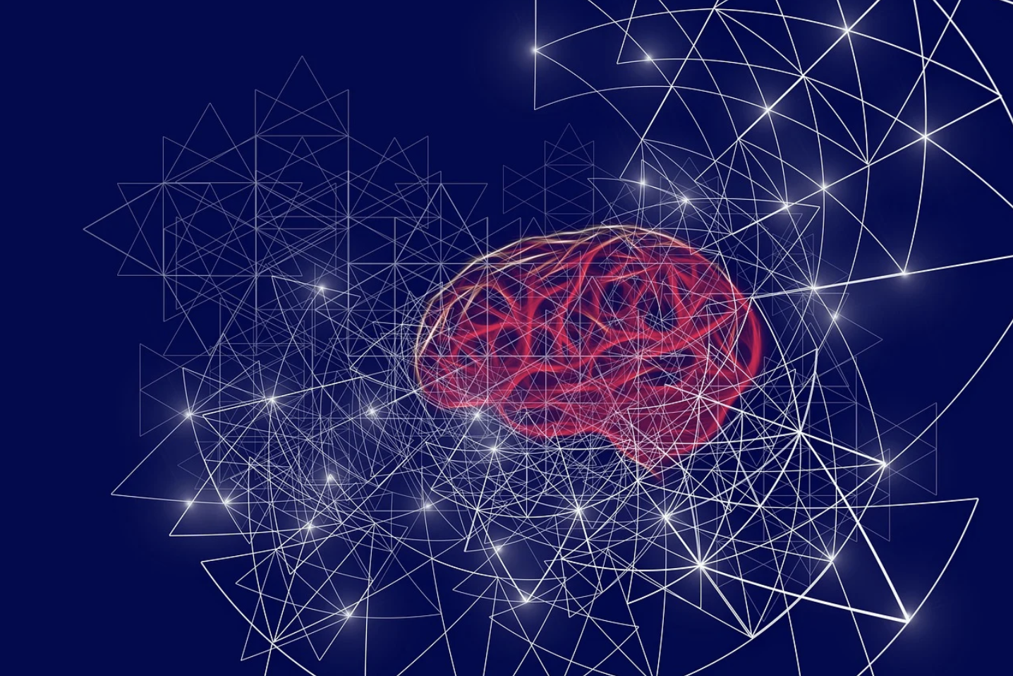 AI의 자율적 학습과 인간의 역할