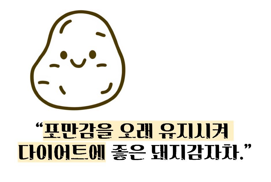 돼지감자차 효능과 부작용