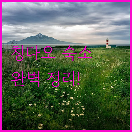 5.4광장 옆 럭셔리 휴양부터 공항 ..