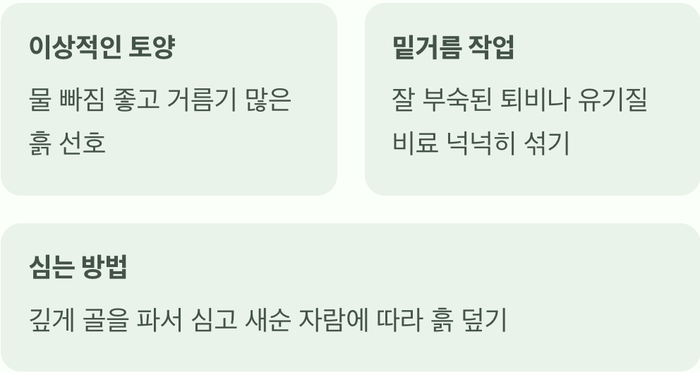 심기 전, 이것 하나만 기억하세요