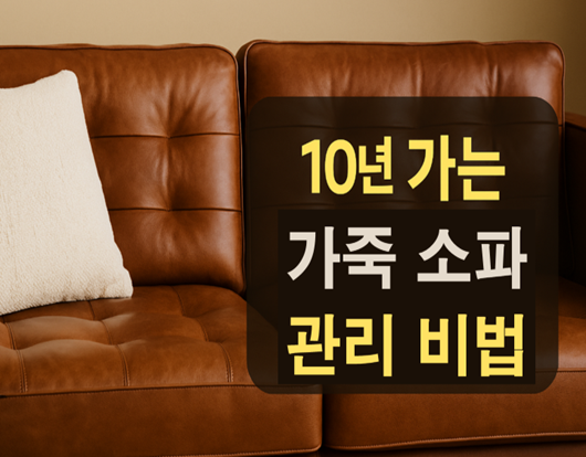 가죽 소파 관리부터 세척법
