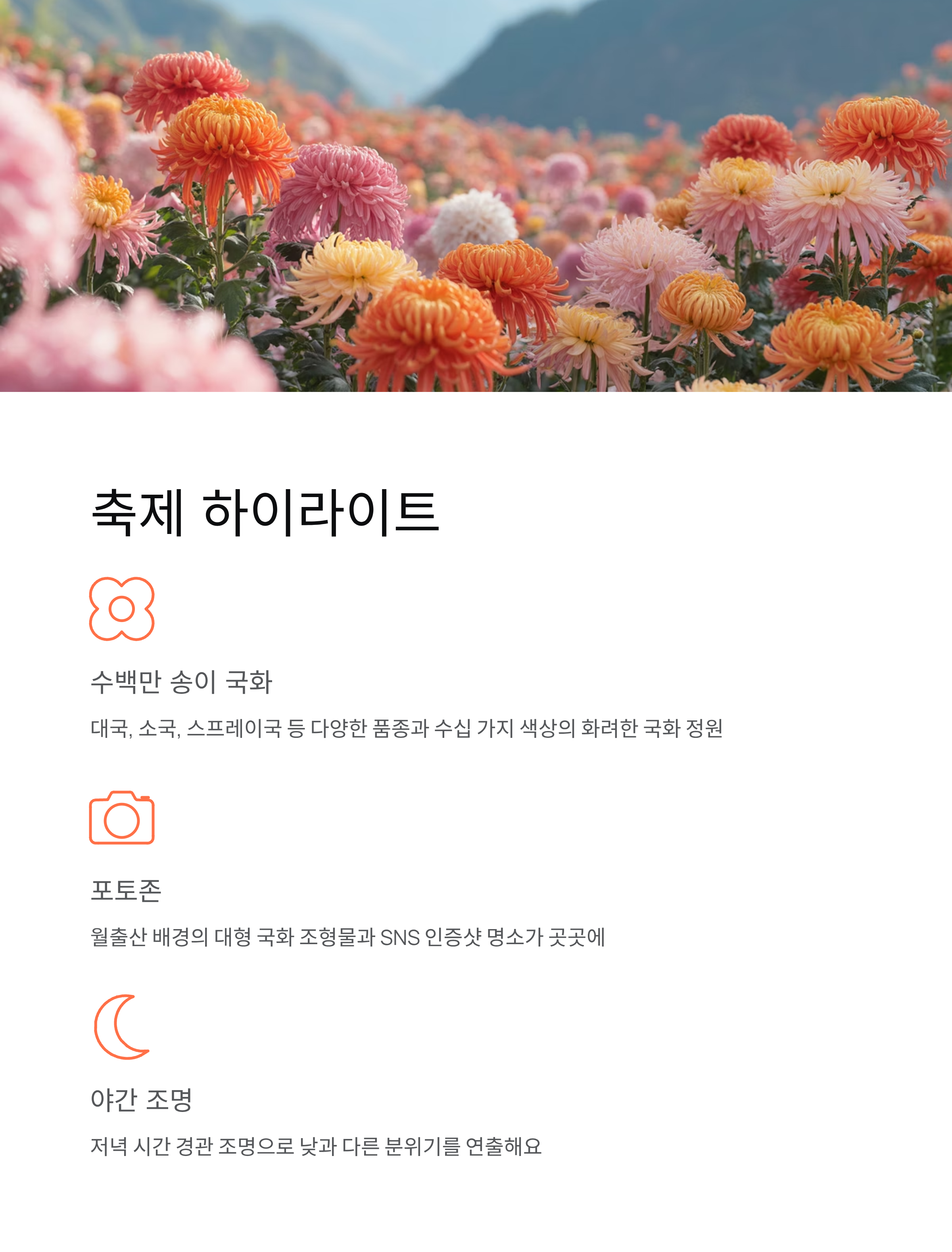 월출산 국화축제 2025 완벽 가이드! 무료 입장, 일정, 주차 총정리