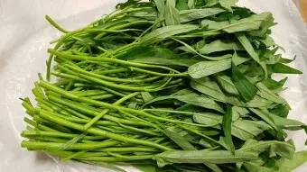 모닝글로리 쇼핑몰 다이어리 달력 수척 필통 추천_16