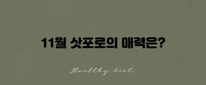 11월 삿포로의 날씨와 옷차림에 대한 일본 여행 후기입니다.