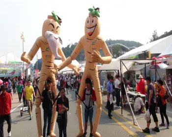 금산 인삼축제_5