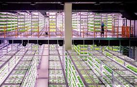 식물이 보내는 미세한 ‘신호’를 데이터로 해석하는 미래형 바이오 직업, AI 기반 식물 생체신호 해석 전문가