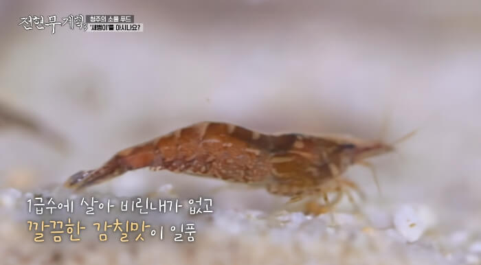 새뱅이