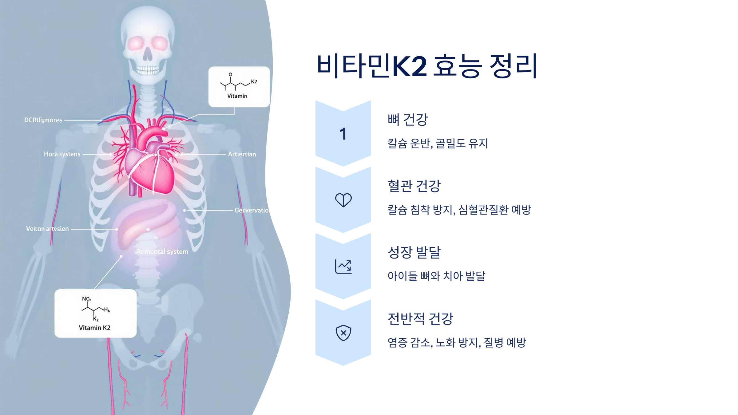 비타민K2 사진입니다.