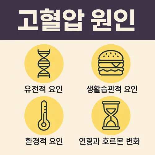 고혈압 원인 인포그래픽