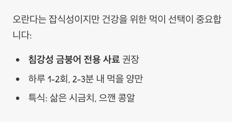 대식가 친구는 무엇을 좋아할까?