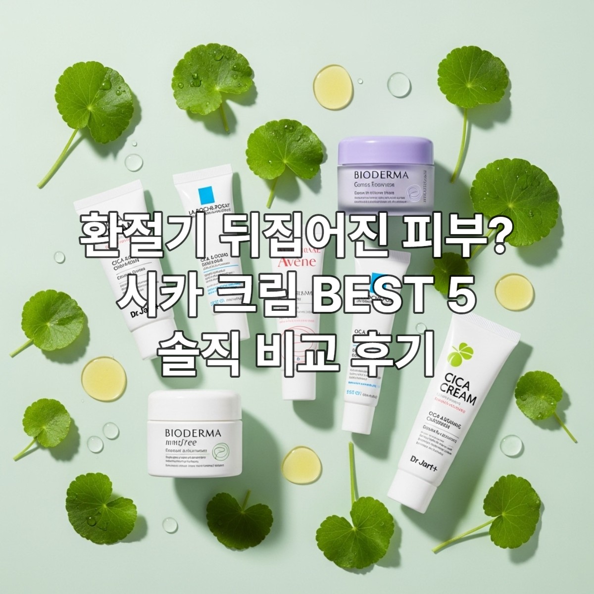 환절기 민감성 피부를 위한 다양한 시카 크림 제품들과 신선한 병풀 잎이 놓인 평화로운 모습