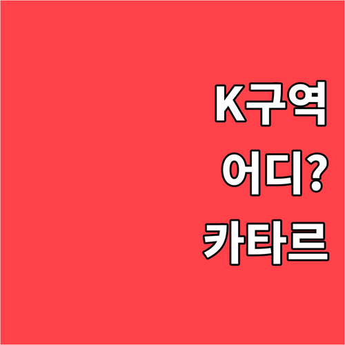 인천공항 카타르항공 체크인 카운터 K..