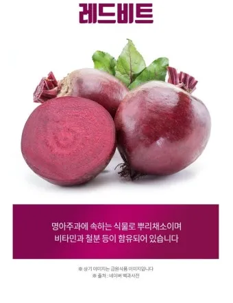 비트즙 먹는 방법 복용법 효능 부작용 정보_14