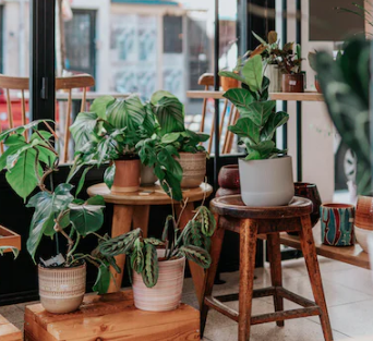 꽃집 창업에 대하여 알아보기