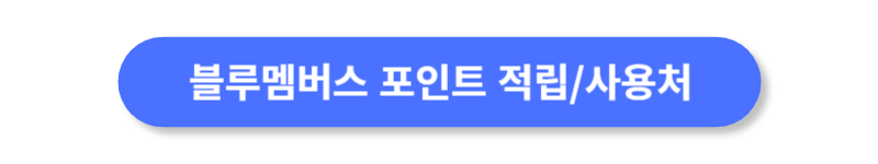 버튼