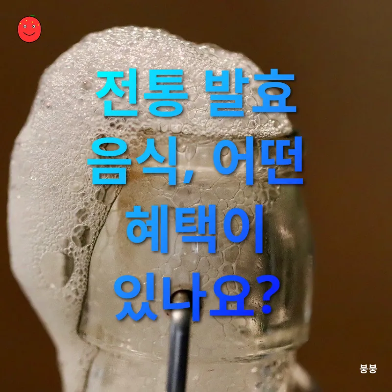전통 발효 음식_2