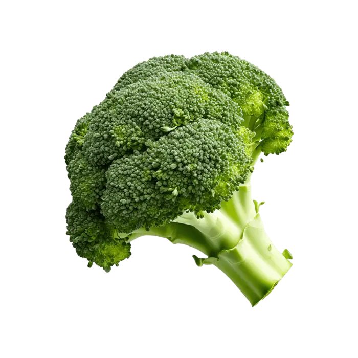 브로콜리