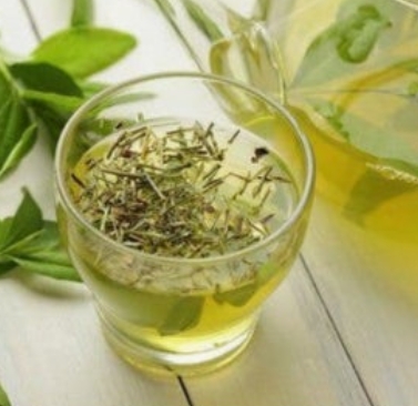 테아닌 효능과 부작용 총정리