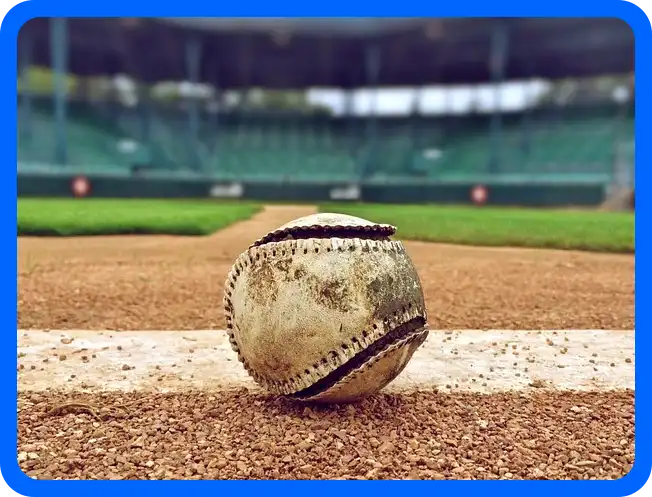 2024 WBSC 프리미어 12 일정표