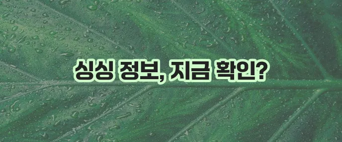 6시내고향 홈페이지 바로가기