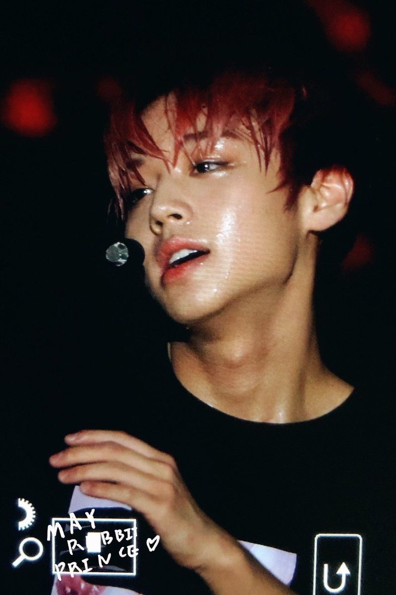 러블리즈 고화질 사진 모음 