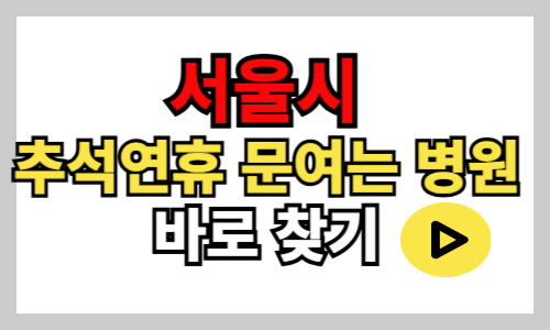 서울 추석 문여는 병원 설날병원, 우리동네 추석병원, 명절병원