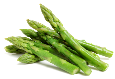 아스파라거스의 영양