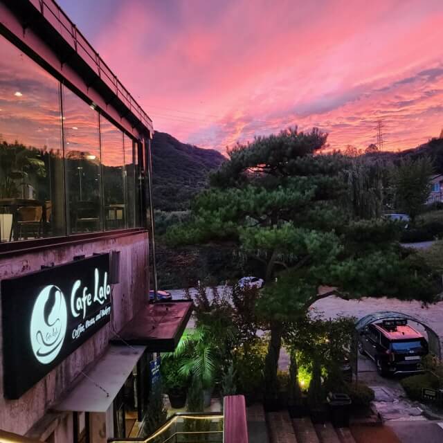 성남 반려견 카페 추천 BEST 5 : 분당&middot;판교 강아지 동반 카페 총정리