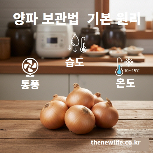 양파 보관법 기본 원리 – 통풍이 잘되고 습도와 온도가 적절한 환경에서 보관