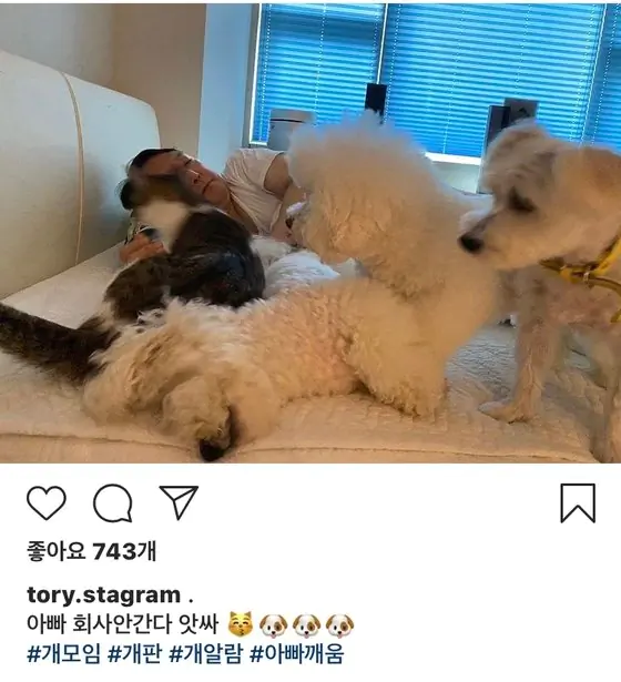 윤석열 유기묘 미담