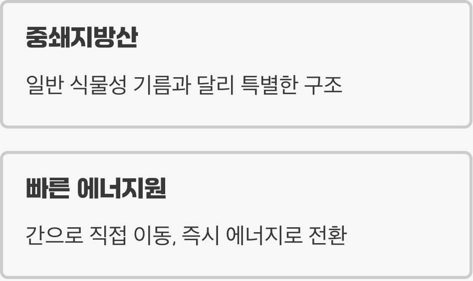 '기적'이라 불렸던 이유, 특별한 지방 'MCT'