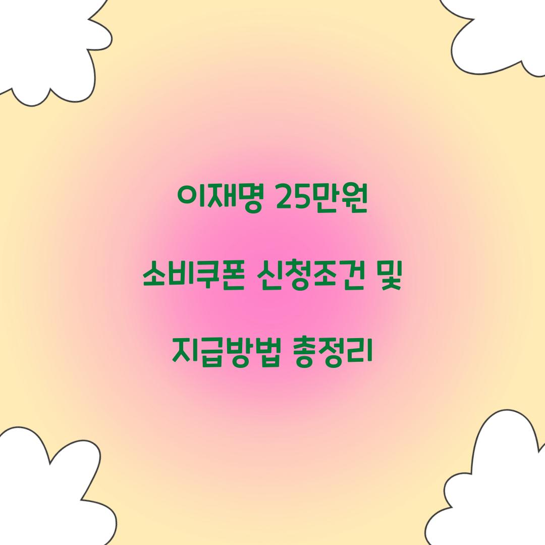 이재명 25만원 소비쿠폰 