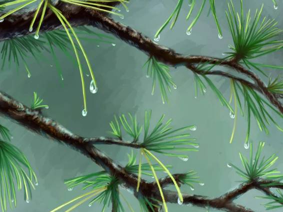 2025 장마 기간&amp;#44; 지역별 예상 일정