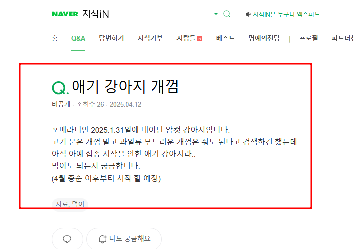 애기 포메라니안에게 개껌을 급여해도 되는지 질문 지식인