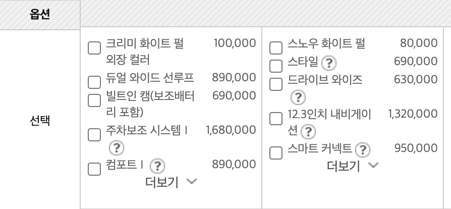 차량 옵션 확인