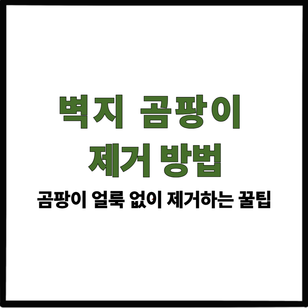 벽지 곰팡이 제거 방법|곰팡이 얼룩 없이 제거하는 꿀팁