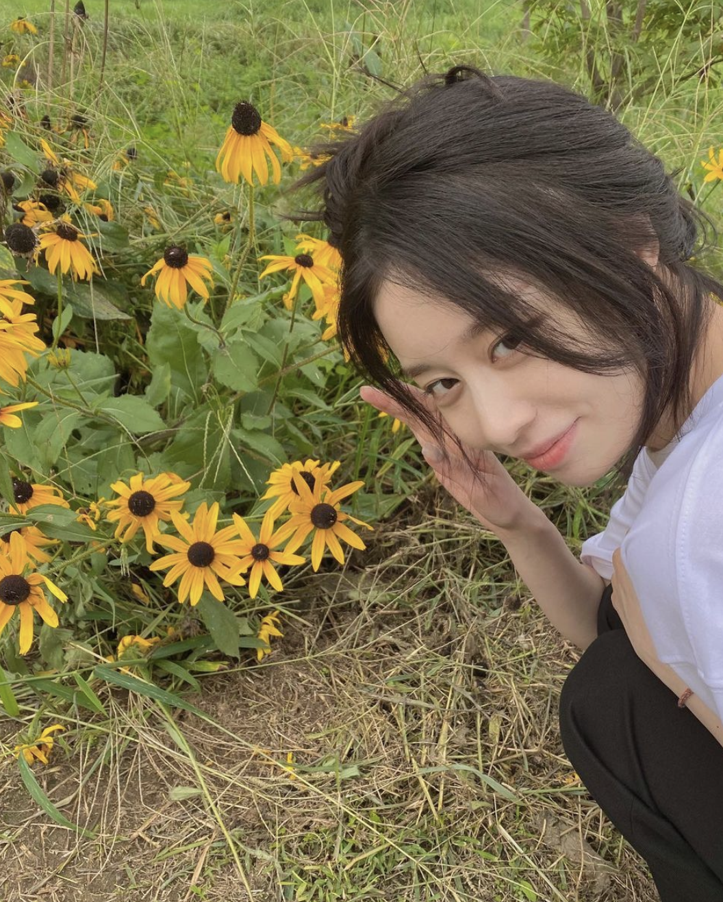 지연 해바라기