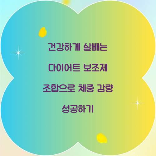 건강하게 살빼는 다이어트 보조제 조합