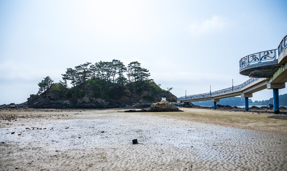 보령 가볼만한곳 (무창포해수욕장)