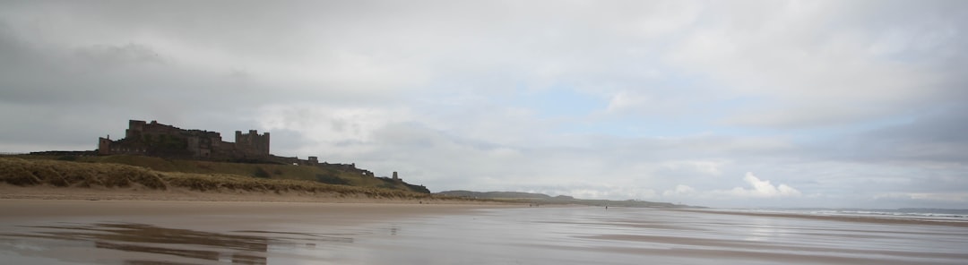 Tide