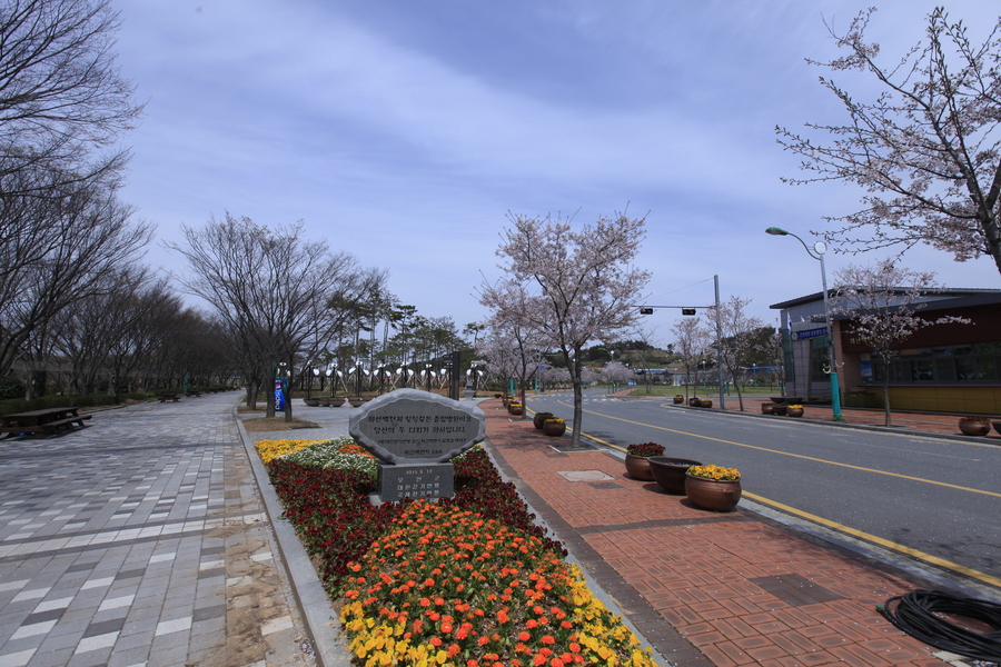 전라남도 무안군 회산백련지 오토캠핑장 소개