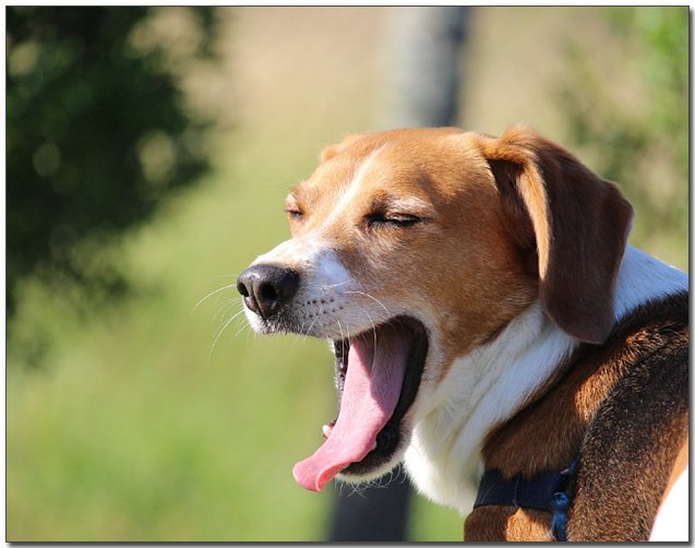 ํํํ๋ ๋น๊ธ