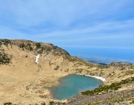 제주 182번 버스 노선 및 타는 곳
