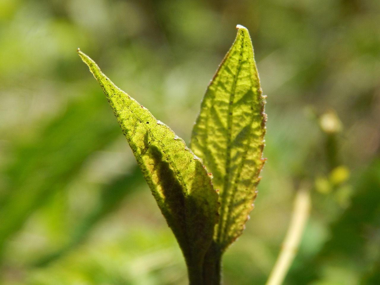 새로운 인생 항상 가능하다