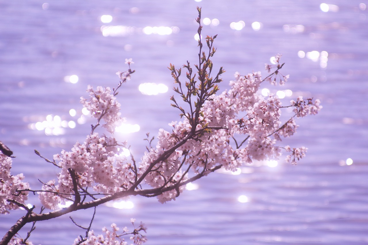 🌸2025 5월달력 무료 출력 & 직접 만드는 법까지! 가정의달 알차게 보내는 꿀팁 총정리