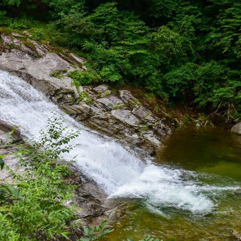 치산계곡